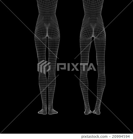 女性的身體O腿和腿線框架perming3DCG插圖材料材料 20994594