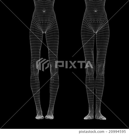 Women's body O legs and legs Wire frame Framing perming3DCG Illustration Material Material Women's body O legs and legs Wire frame Framing perming3DCG Illustration Material Material 20994595