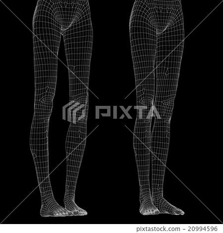 女性的身體O腿和腿線框架perming3DCG插圖材料材料 20994596