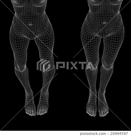 女性的身體O腿和腿線框架perming3DCG插圖材料材料 20994597