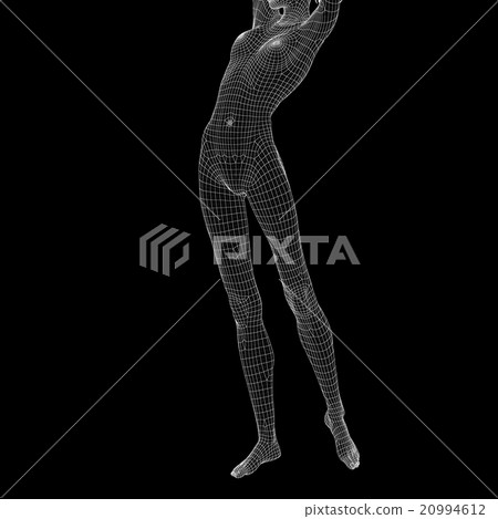 女性身體線框perming3DCG插圖素材 20994612