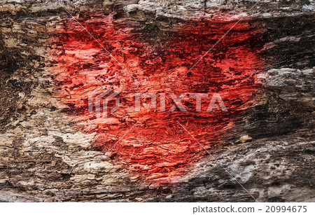 Image of red heart in wood texture 20994675