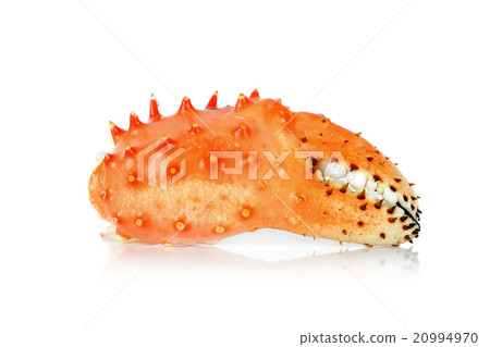 claw Alaskan king carb  isolated white background 20994970