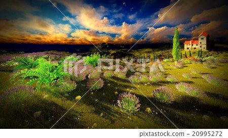 Castle towering 9ver lavender fields 20995272