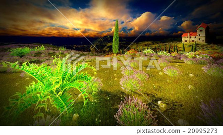 Castle towering 9ver lavender fields Castle towering 9ver lavender fields 20995273