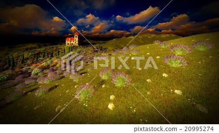 Castle towering 9ver lavender fields Castle towering 9ver lavender fields 20995274