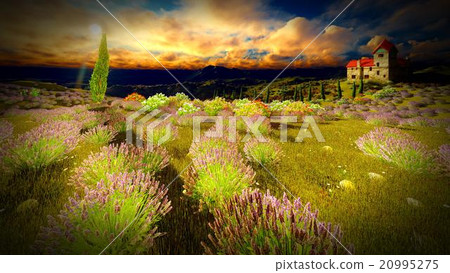 Castle towering 9ver lavender fields Castle towering 9ver lavender fields 20995275
