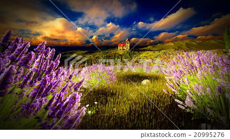 Castle towering 9ver lavender fields Castle towering 9ver lavender fields 20995276