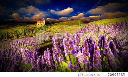 Castle towering 9ver lavender fields Castle towering 9ver lavender fields 20995285