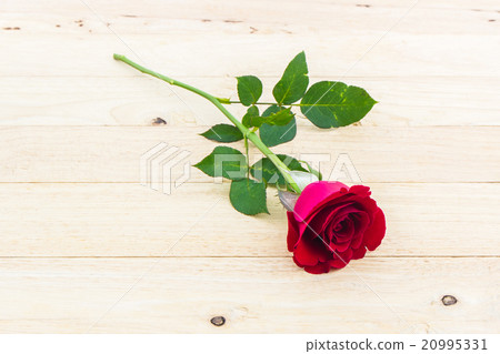 Beautiful red rose. 20995331