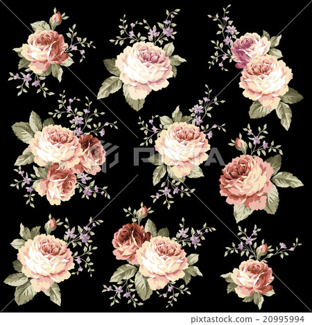 Rococo-style rose 20995994