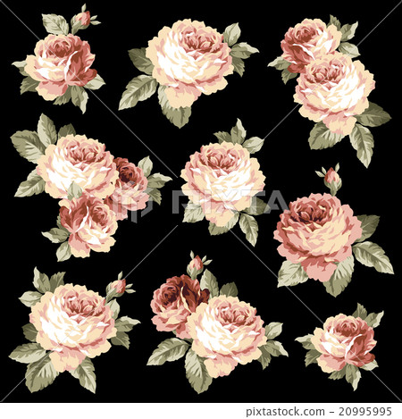 Rococo-style rose 20995995