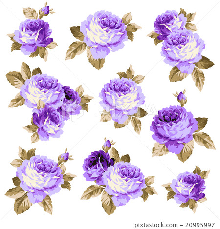 洛可可式玫瑰 20995997