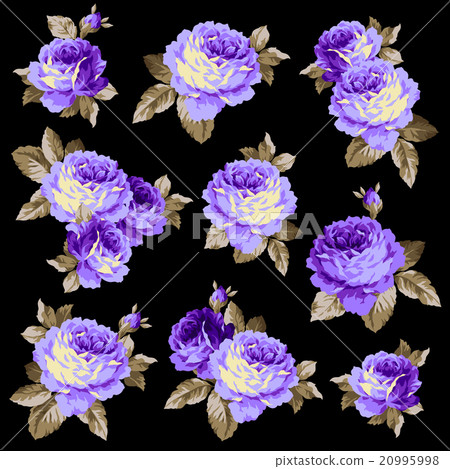 洛可可式玫瑰 20995998