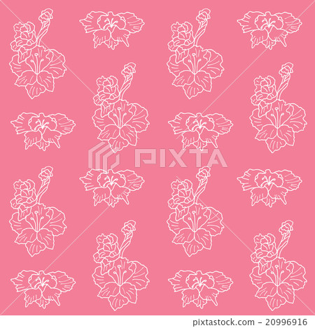 Gladiolus seamless pattern on pink background 20996916