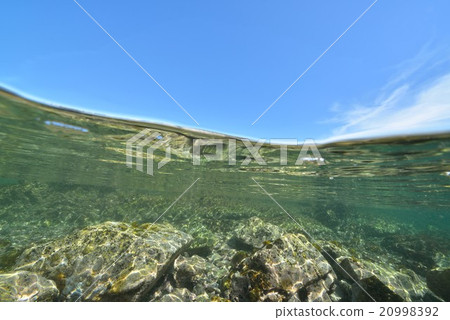 Shallow sea 20998392