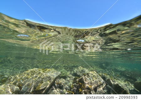 Shallow sea 20998393