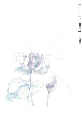 Lotus Lotus 21002081