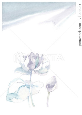 蓮花，薩基葉 21002083