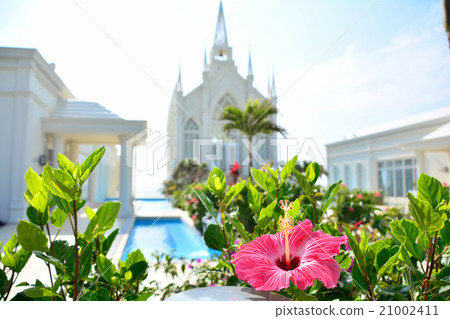 Flowers and church 21002411