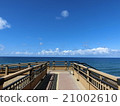 Tottori no Oka White Rabbit Coast 21002610