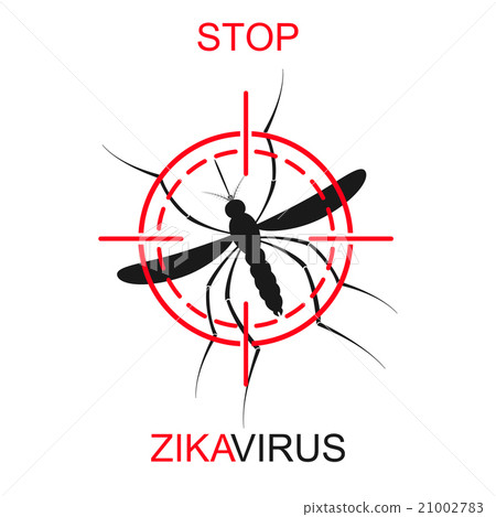 Zika mosquito vector. Virus alert. Aedes Aegypti Zika mosquito vector. Virus alert. Aedes Aegypti 21002783