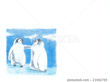Chicken penguin Chicken penguin 21002785