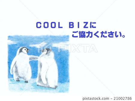 COOL BIZ penguin COOL BIZ penguin 21002786