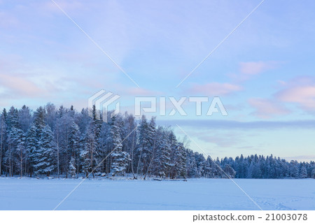 Frozen lake and snow covered forest Frozen lake and snow covered forest 21003078
