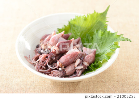 Boyfried Hotaruica 21003255