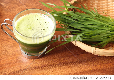 Wheatgrass Wheatgrass 21003525
