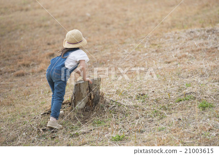 Girls playing with stumps 21003615