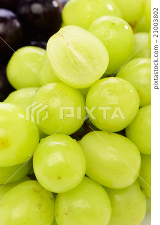 Gi-fen and Muscat 21003802