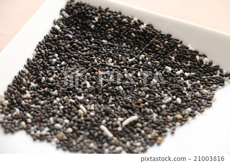 鹽和胡椒 21003816