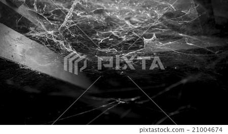 cobweb in ancient thai house cobweb in ancient thai house 21004674