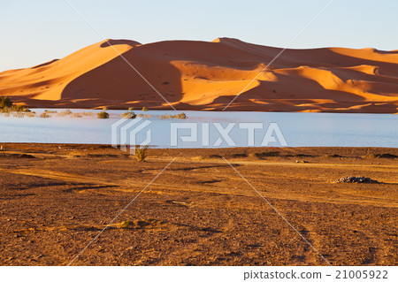 sunshine in the lake yellow sunshine in the lake yellow 21005922