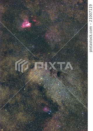 Bambi's profile 21007119