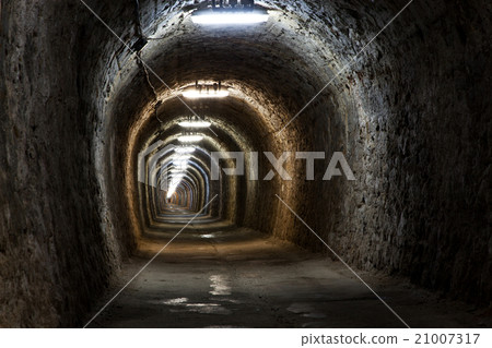Salt Mine 21007317