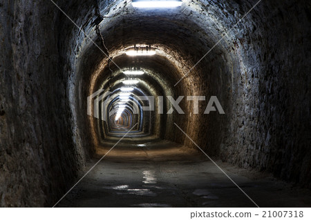Salt Mine 21007318