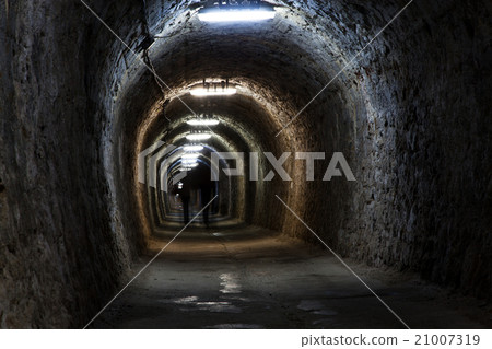 Salt Mine 21007319
