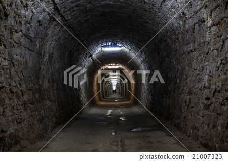 Salt Mine 21007323