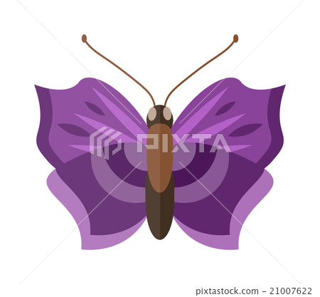 Colored cartoon butterfly vector isolated on white 21007622