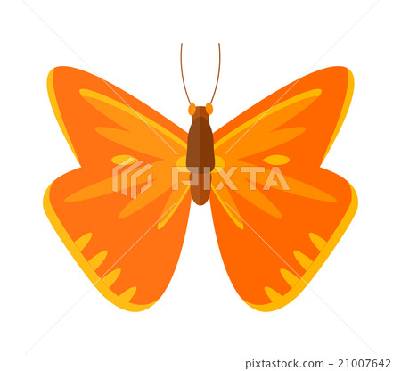 Colored cartoon Cabbage butterfly vector isolated 21007642