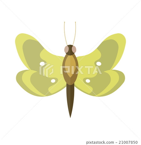 Colored cartoon butterfly vector isolated on white 21007850