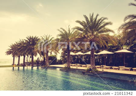 Swimming pool 21011342