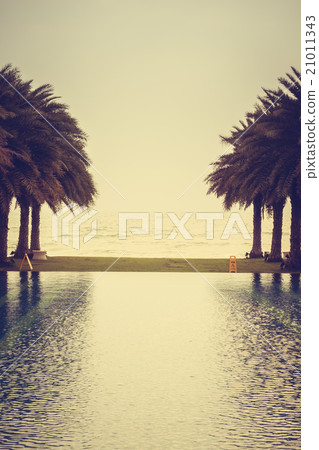 Swimming pool 21011343