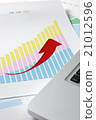 Chart spike 21012596