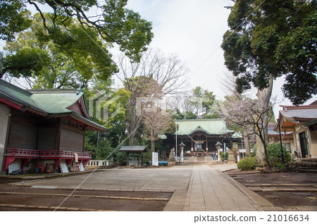 Tokyo Setagaya Walking, Human Power Area, Tamagawa Shrine Tokyo Setagaya Walking, Human Power Area, Tamagawa Shrine 21016634