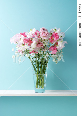 Blue background and Ranunculus, Sweet pea and lace flower 21016663
