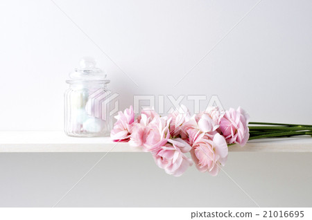 Ranunculus and cotton ball with white background Ranunculus and cotton ball with white background 21016695
